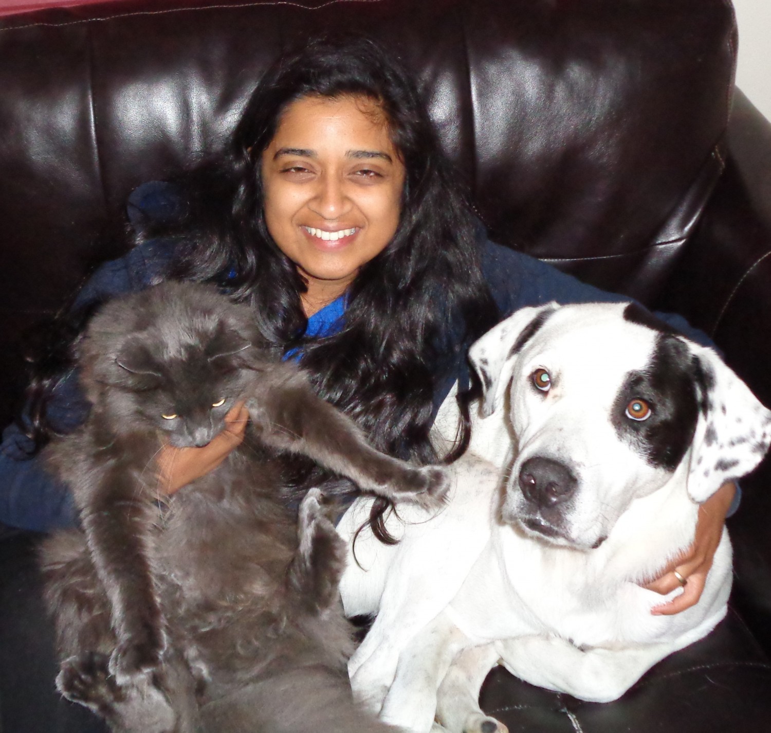 Edgefield Veterinary Hospital Hampstead, NH Our Veterinarians